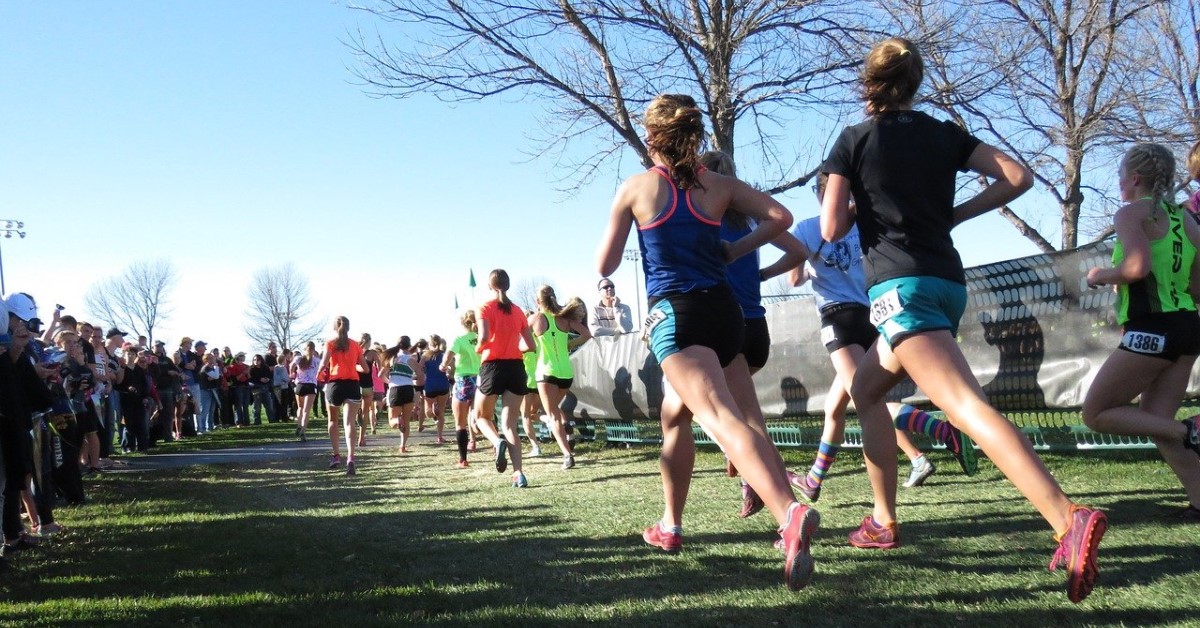 Read more about the article Indeks Percepcji Korupcji – Polska zostaje z tyłu