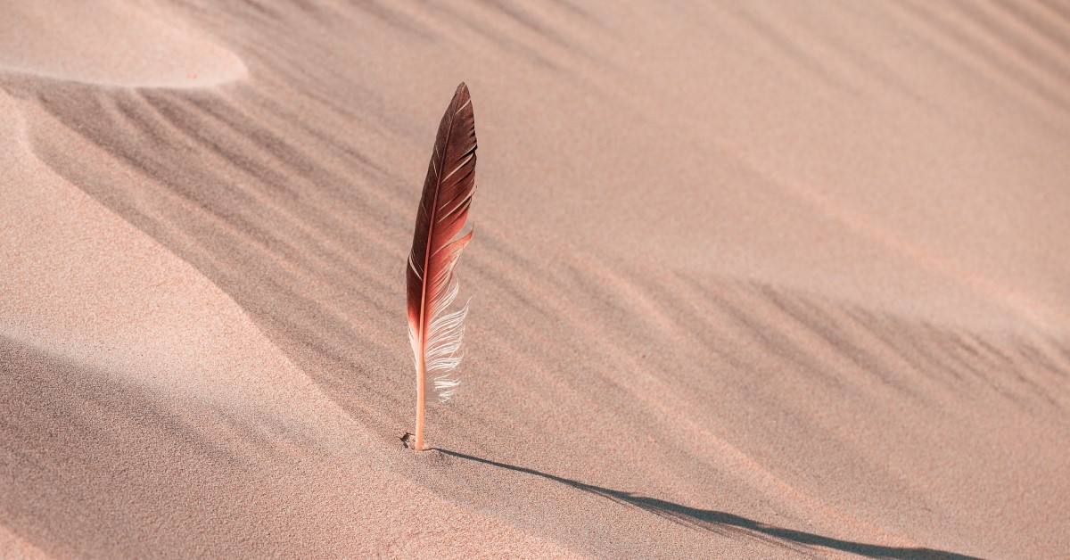 Read more about the article Sygnalista, zaświadczenie i 3 problemy