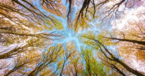 Read more about the article ESG i CSRD dla bardzo początkujących